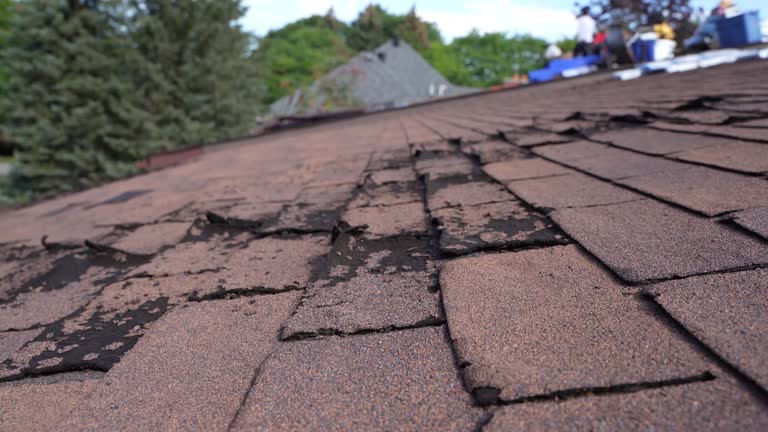 Best Slate Roofing  in Tlassee, AL