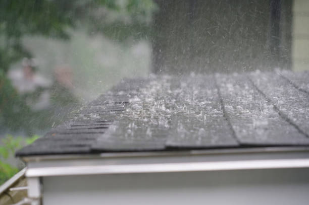 Best Asphalt Shingles Roofing  in Tlassee, AL
