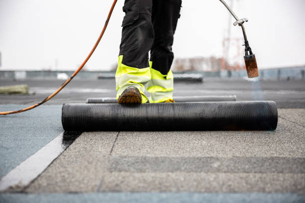 Best Steel Roofing  in Tlassee, AL